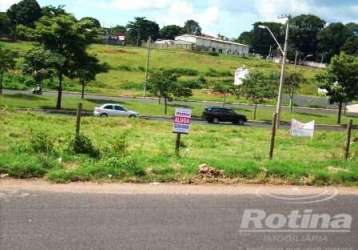 Terreno para alugar, segismundo pereira - uberlândia/mg - rotina imobiliária