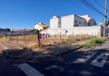 Terreno para alugar, alto umuarama - uberlândia/mg - rotina imobiliária