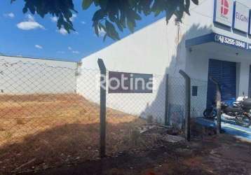 Terreno para alugar, brasil - uberlândia/mg - rotina imobiliária