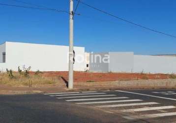 Terreno para alugar, bosque dos buritis - uberlândia/mg - rotina imobiliária