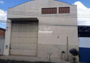 Galpão para alugar, custódio pereira - uberlândia/mg - rotina imobiliária