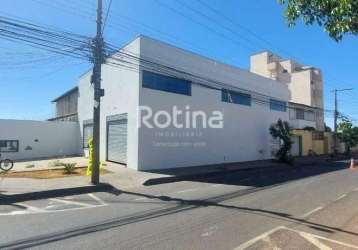 Galpão para alugar, umuarama - uberlândia/mg - rotina imobiliária