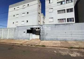 Apartamento para alugar, 2 quartos, jardim canaã - uberlândia/mg - rotina imobiliária