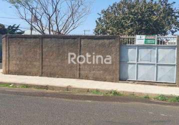 Terreno para alugar, marta helena - uberlândia/mg - rotina imobiliária