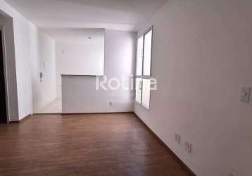 Apartamento para alugar, 2 quartos, pacaembu - uberlândia/mg - rotina imobiliária