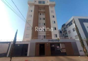 Apartamento para alugar, 2 quartos, alto umuarama - uberlândia/mg - rotina imobiliária