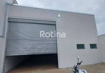 Galpão para alugar, custódio pereira - uberlândia/mg - rotina imobiliária