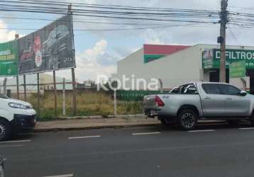 Terreno para alugar, brasil - uberlândia/mg - rotina imobiliária