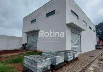 Loja para alugar, jardim brasília - uberlândia/mg - rotina imobiliária