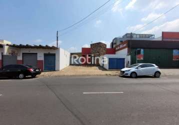 Loja para alugar, custódio pereira - uberlândia/mg - rotina imobiliária