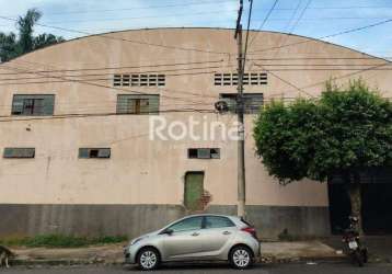 Galpão para alugar, osvaldo rezende - uberlândia/mg - rotina imobiliária