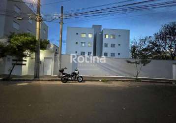 Apartamento para alugar, 2 quartos, custódio pereira - uberlândia/mg - rotina imobiliária