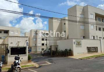 Apartamento para alugar, 2 quartos, jardim brasília - uberlândia/mg - rotina imobiliária