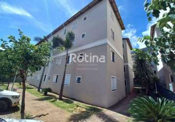 Apartamento para alugar, 2 quartos, chacaras tubalina e quartel - uberlândia/mg - rotina imobiliária