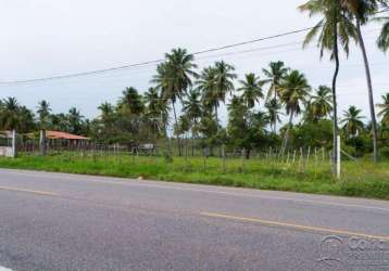 Terreno padrão em barra dos coqueiros