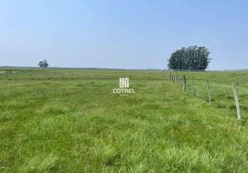 Fazenda para venda com 217 ha localizada na cidade de sant'ana do livramento/rs.