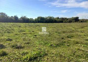 Chácara para venda com 2 hectares situada na estrada dos pains na cidade de sant