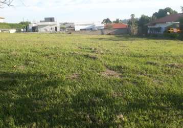 Excelente terreno plano no residencial ecopark c/ 900 m². oportunidade!!