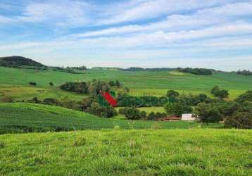 Fazenda à venda, 171 alq-sp por r$ 43.000.000 - jataizinho - jataizinho/pr