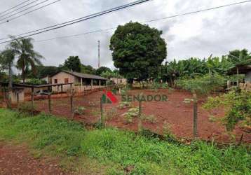 Chácara com 3 dormitórios à venda, 3000 m² por r$ 800.000,00 - gleba lindóia - londrina/pr