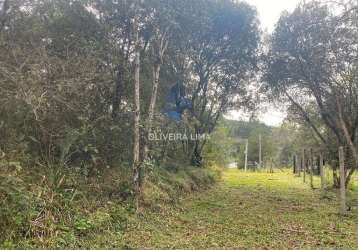 Terreno à venda no bairro ribeirão grande - agudos do sul/pr