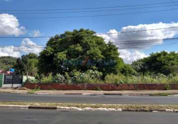 Terreno comercial à venda na avenida thereza ana cecon breda, 701, vila são pedro, hortolândia por r$ 11.000.000