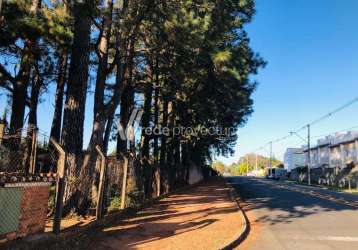 Casa com 6 quartos à venda na rua padre domingos giovanini, 480, taquaral, campinas, 586 m2 por r$ 8.500.000