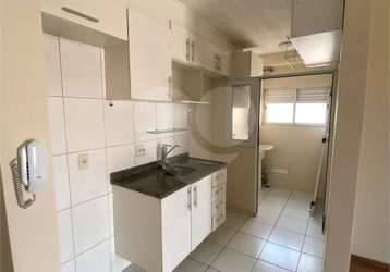 Apartamento com 3 quartos para locação em vila constança - sp