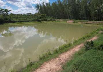 Fazenda eucalipto e piscicultura