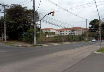 Terreno comercial para alugar na avenida baltazar de oliveira garcia, 3819, rubem berta, porto alegre, 3508 m2 por r$ 14.000