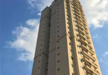 Apartamento com 2 quartos à venda em vila genioli - sp