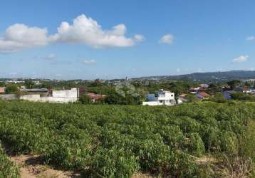 Terreno de 8ha - campo novo