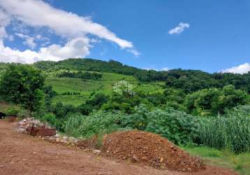 Excelente área de terra parreirais produzindo.