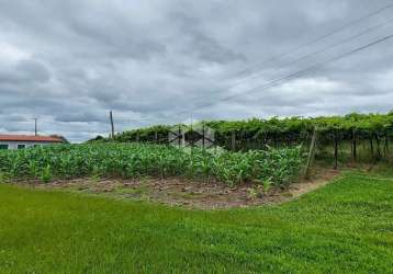 Área de terra de 10.4 ha em tuiuty