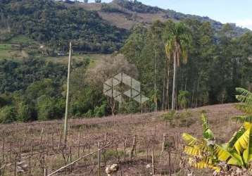 Chácara, sítio, parreiras, lago e natureza