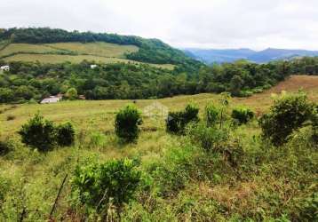 Chácara produtiva dos sonhos na serra gaúcha: viva em meio à natureza e prosperidade!