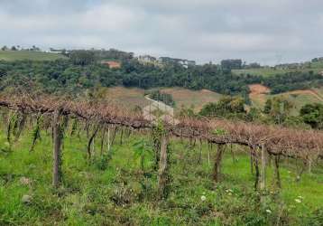 5 hectare de terra no interior de pinto bandeira