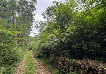 Área composta por 5,5ha escriturada