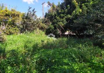 Chacara/sitio para venda  na estrada da branquinha em viamão.