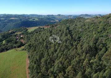 Área rural a venda em canudos do vale/rs