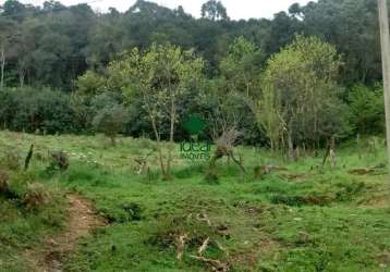 Ótima área de terras na vila maestra em caxias do sul sentido flores da cunha