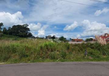 Amplo terreno no vale dos pinheiros