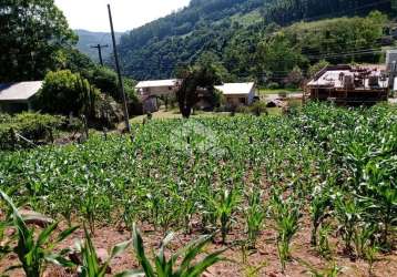 Terreno ideal para moradia, no centro de boa vista do sul