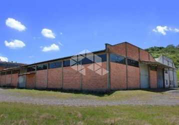 Pavilhões de 1000m2 cada em terreno de 6500m2, localizado em antônio prado/rs