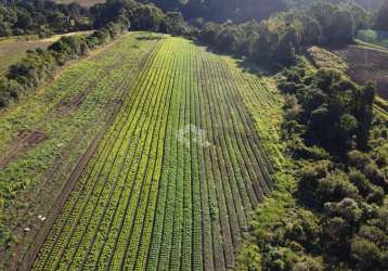 ? **chácara plana para investimento, comércio ou moradia em flores da cunha!** ?