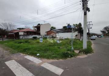 Terreno comercial próximo ao centro de ev