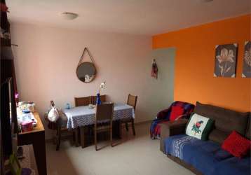 Apartamento de 3 dormitórios na pedreira