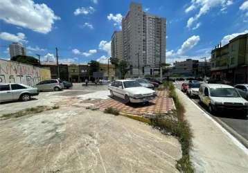 Terreno-são paulo-tatuapé | ref.: reo983766