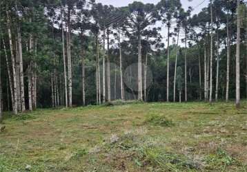 Chácara à venda em jardim paulista - pr