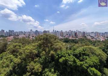 Vista privilegiada apartamento com 3 quartos na porta do parque da aclimação